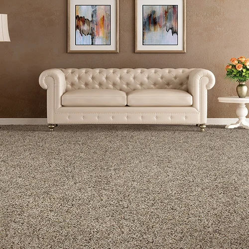 Aus Floors & More providing stain-resistant pet proof carpet in Granite, MN