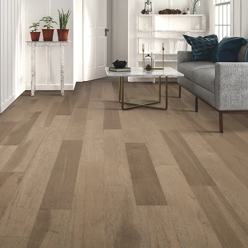 Aus Floors & More providing pet-friendly waterproof vinyl flooring in Granite, MN